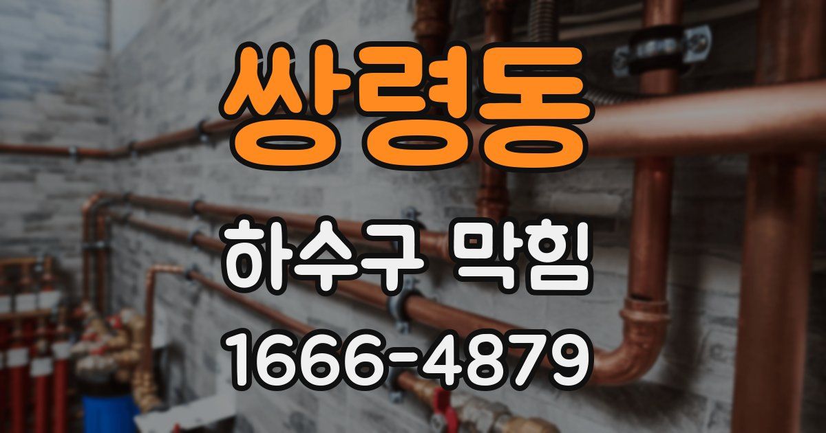 쌍령동 하수구 막힘