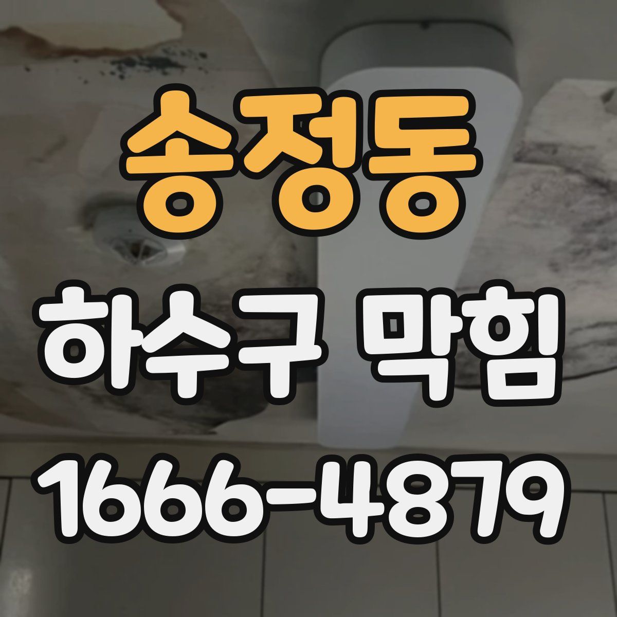 송정동 하수구 막힘