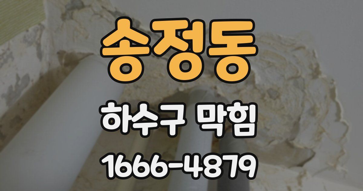 송정동 하수구 막힘
