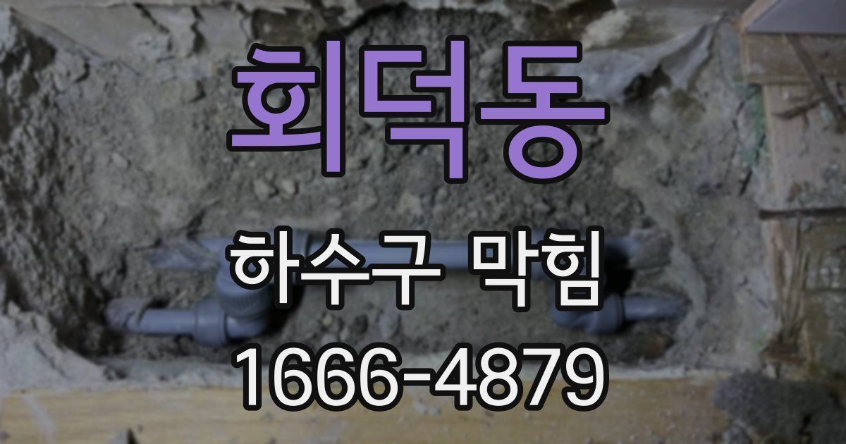 회덕동 하수구 막힘