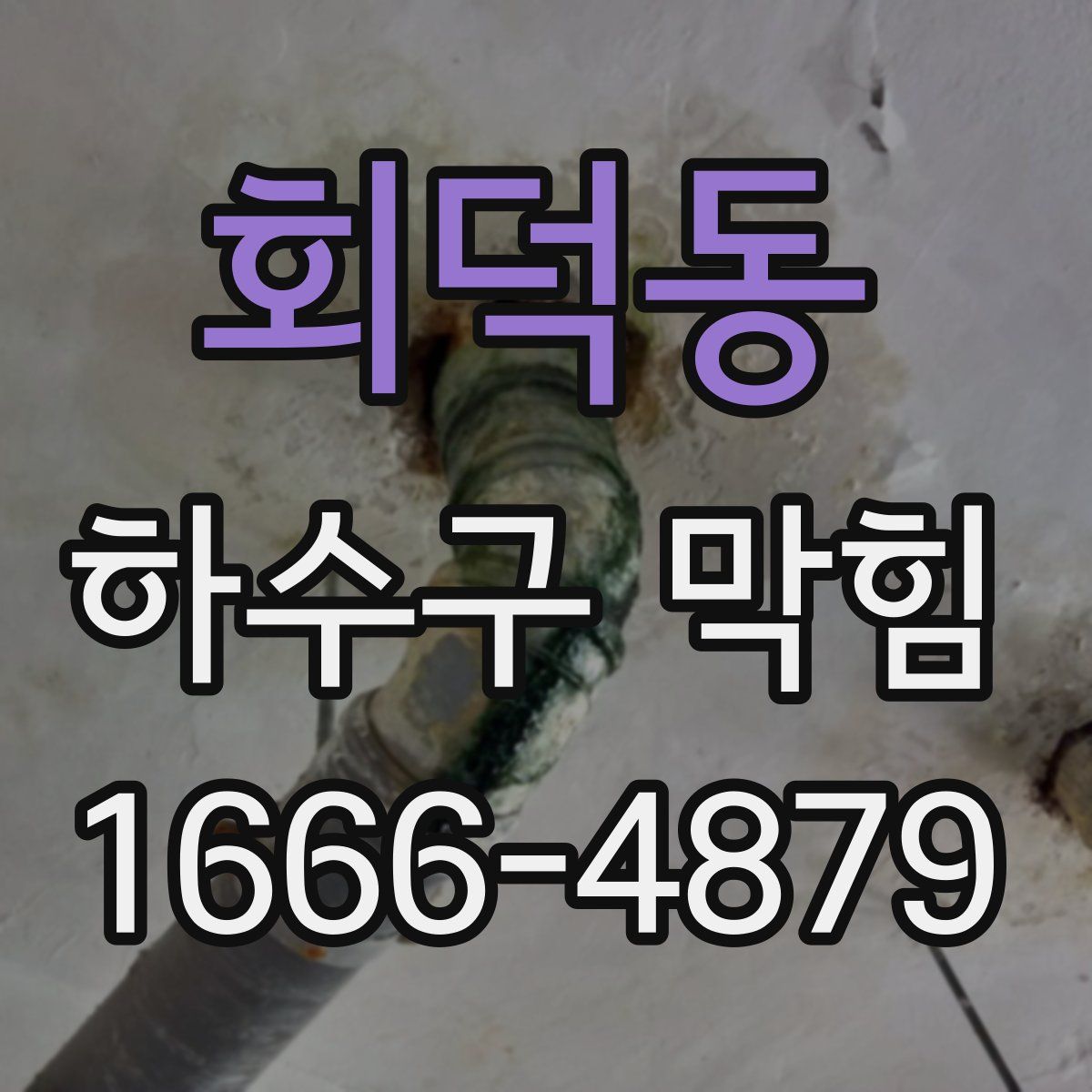 회덕동 하수구 막힘