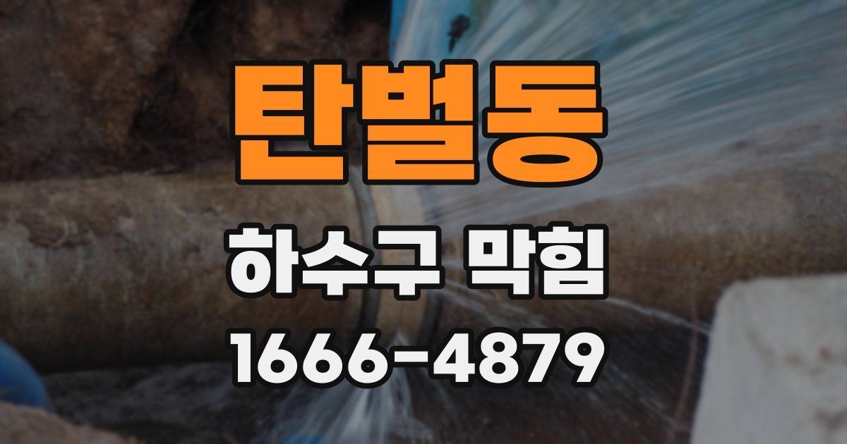 탄벌동 하수구 막힘