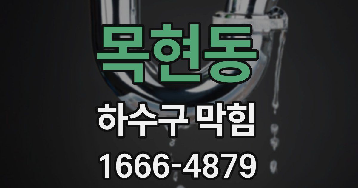 목현동 하수구 막힘
