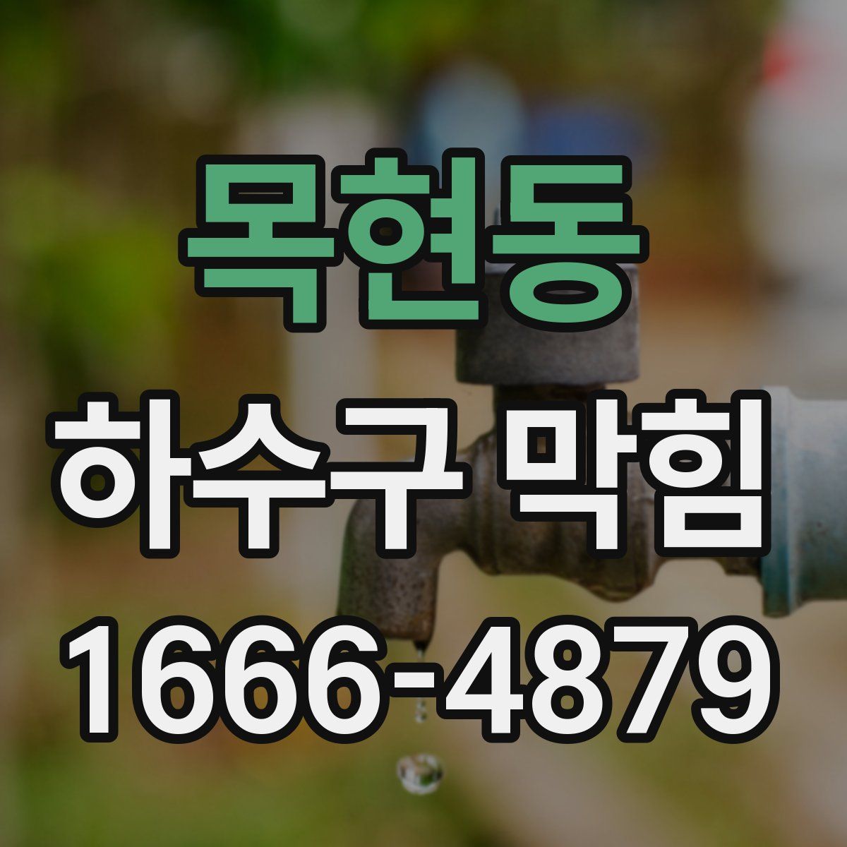목현동 하수구 막힘