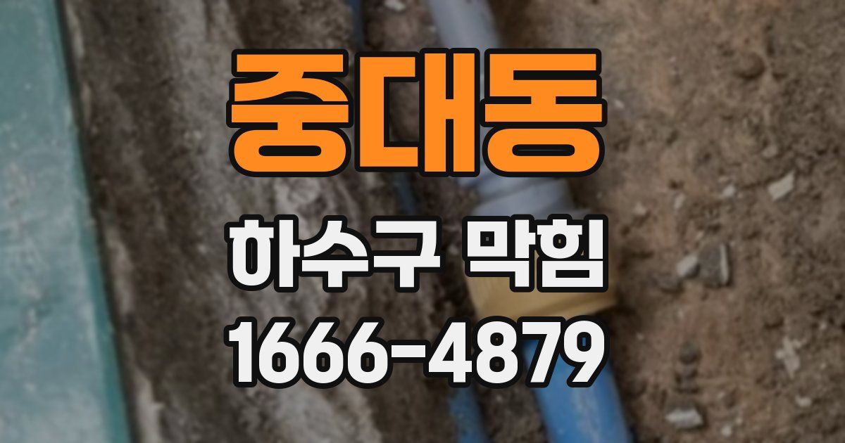 중대동 하수구 막힘