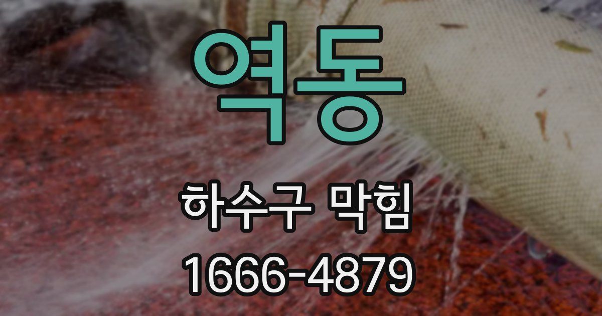 역동 하수구 막힘