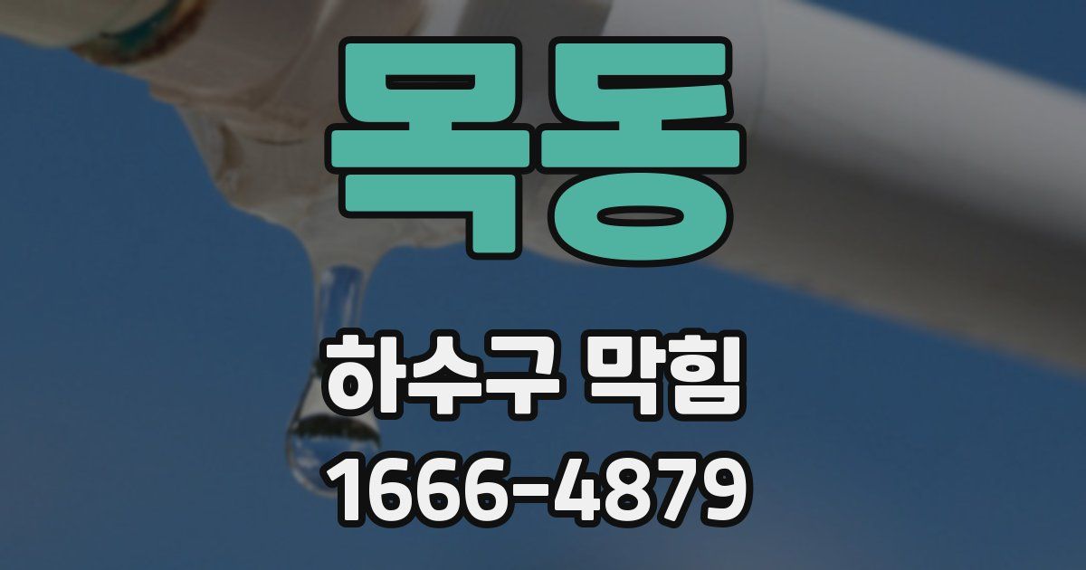 목동 하수구 막힘