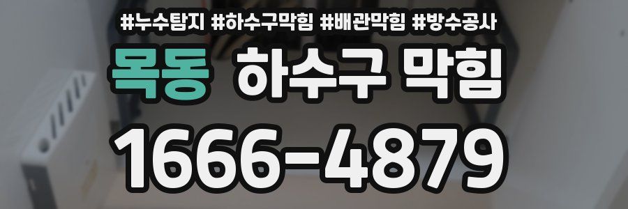 목동 하수구 막힘