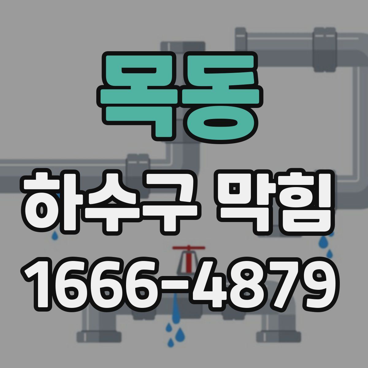목동 하수구 막힘