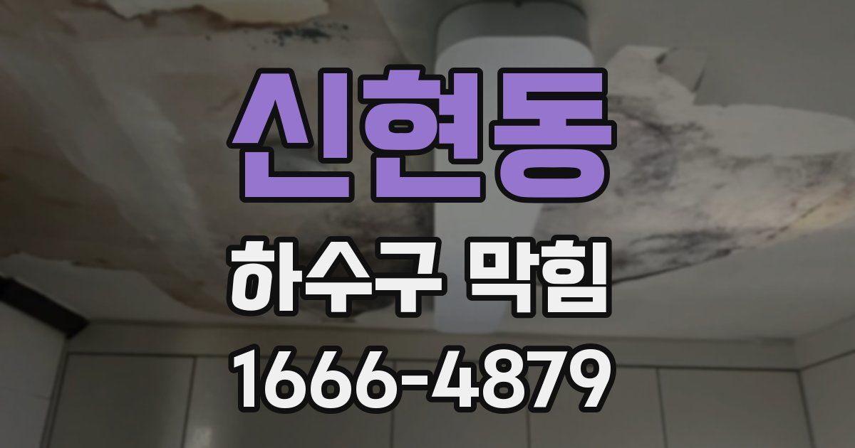 신현동 하수구 막힘