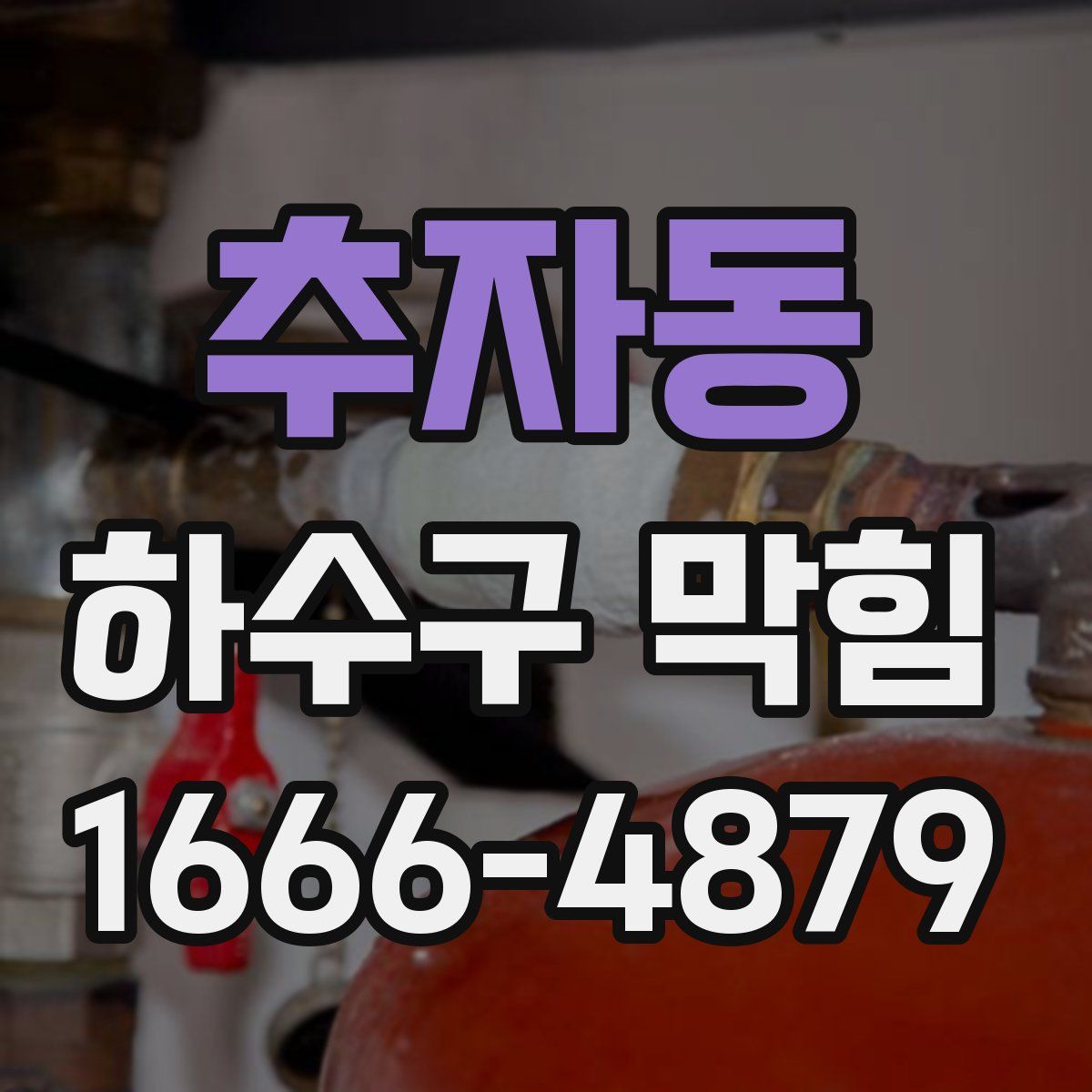 추자동 하수구 막힘