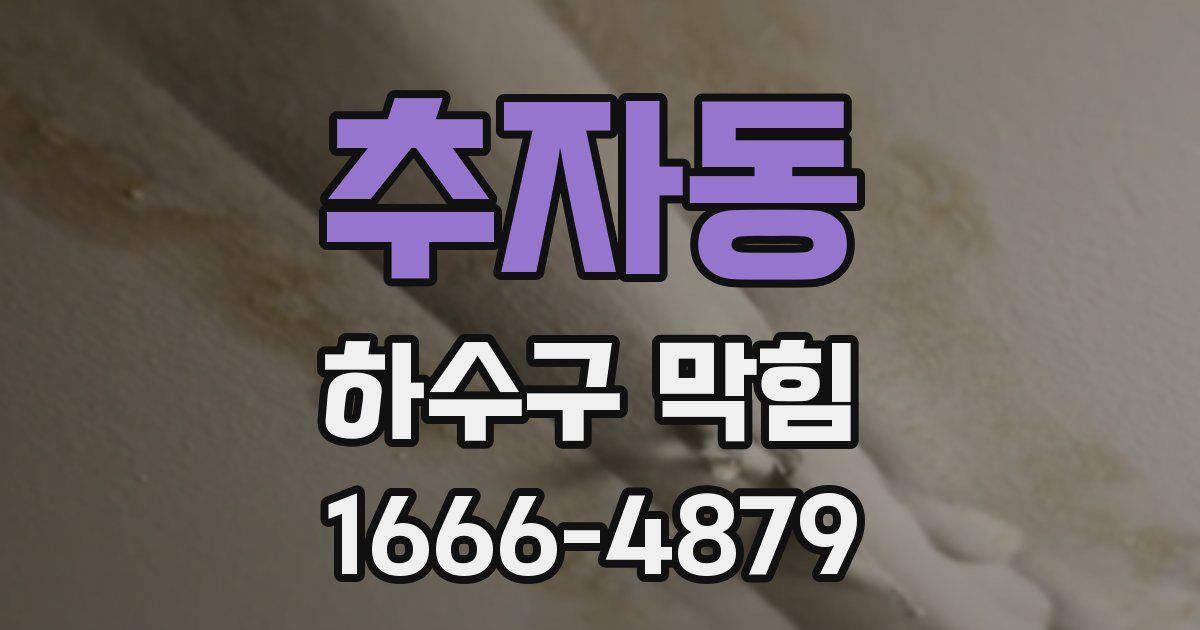 추자동 하수구 막힘