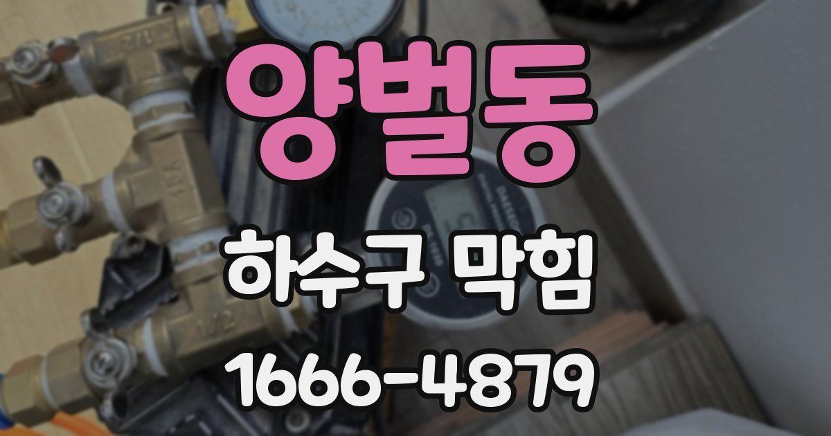양벌동 하수구 막힘