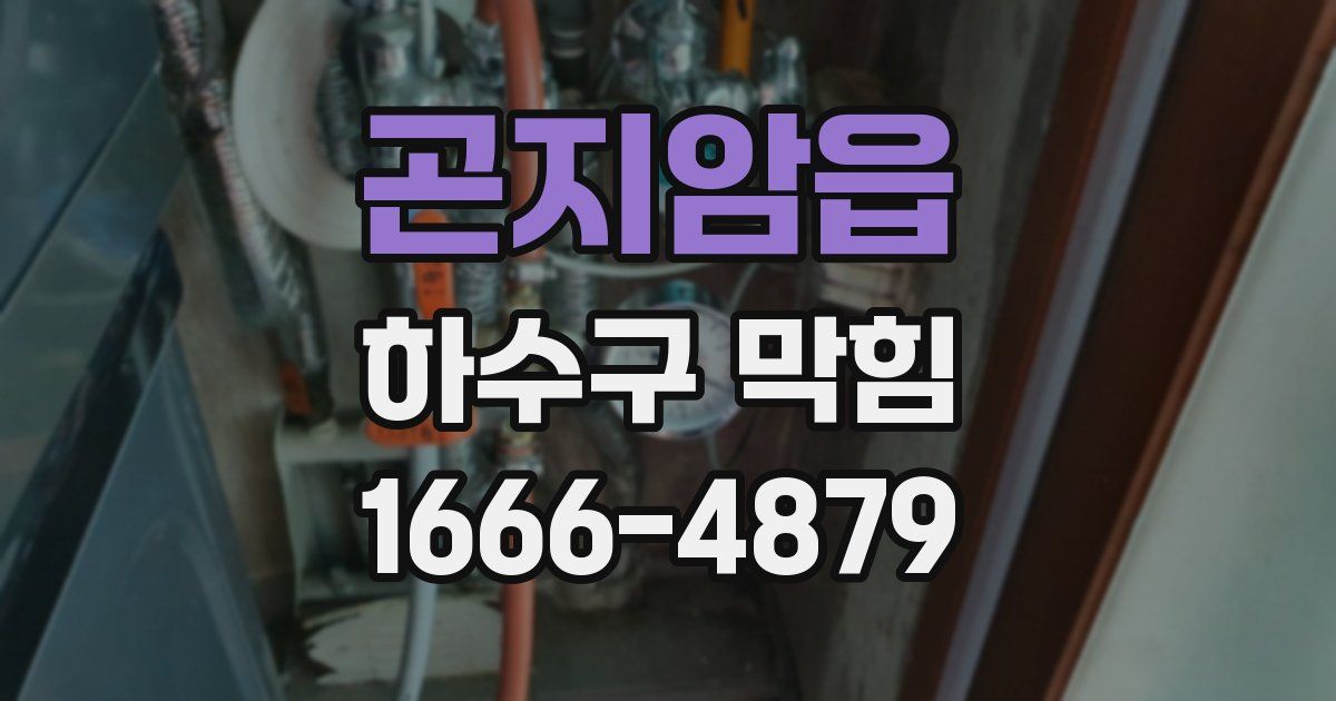 곤지암읍 하수구 막힘