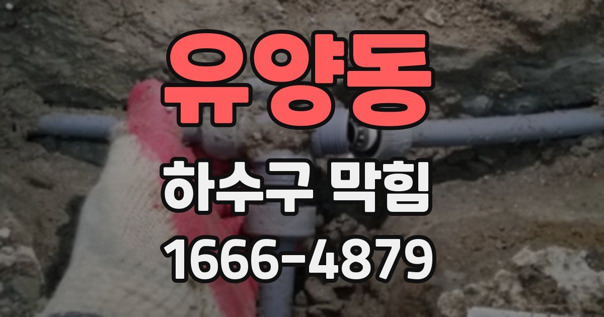유양동 하수구 막힘