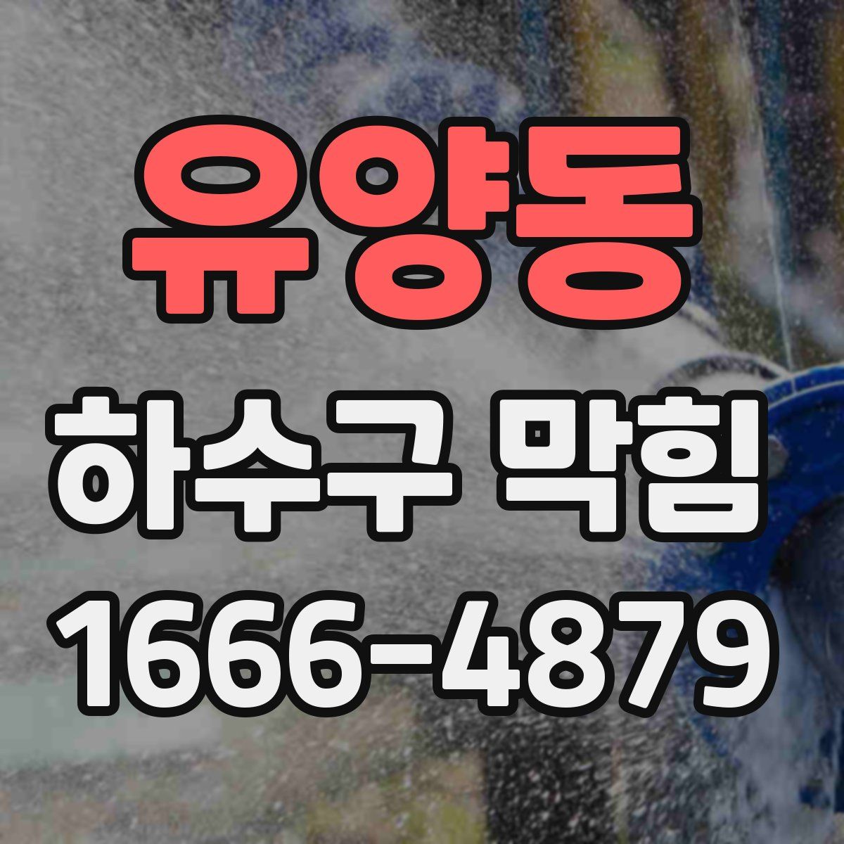 유양동 하수구 막힘