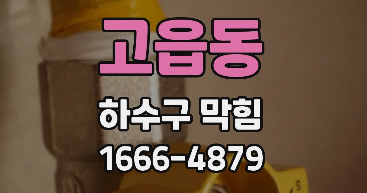 고읍동 하수구 막힘