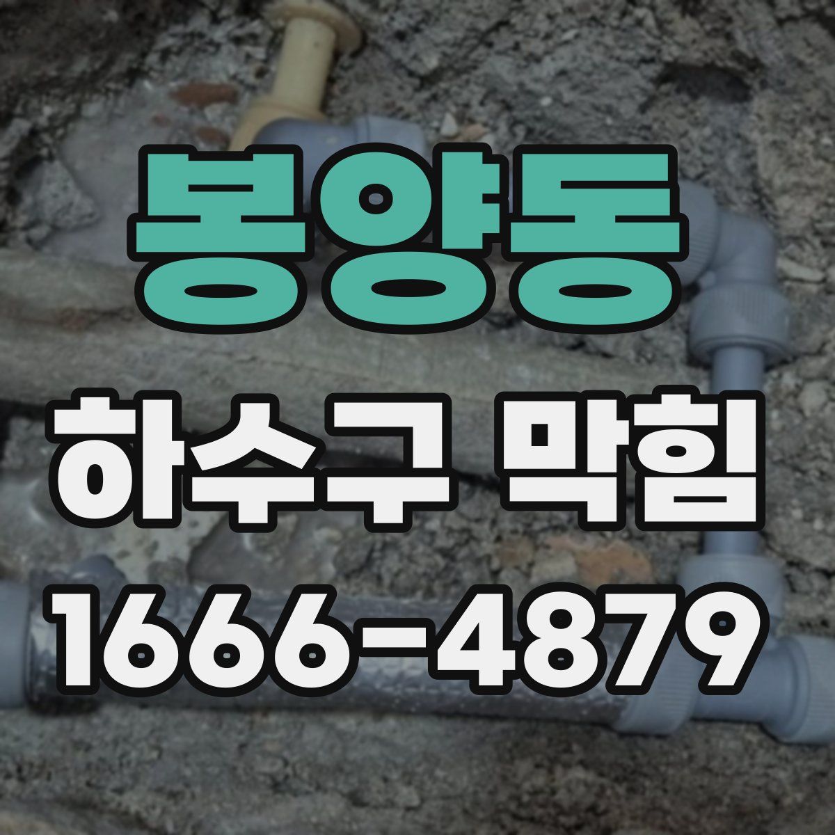 봉양동 하수구 막힘