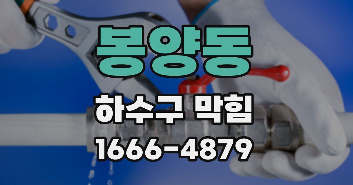 봉양동 하수구 막힘