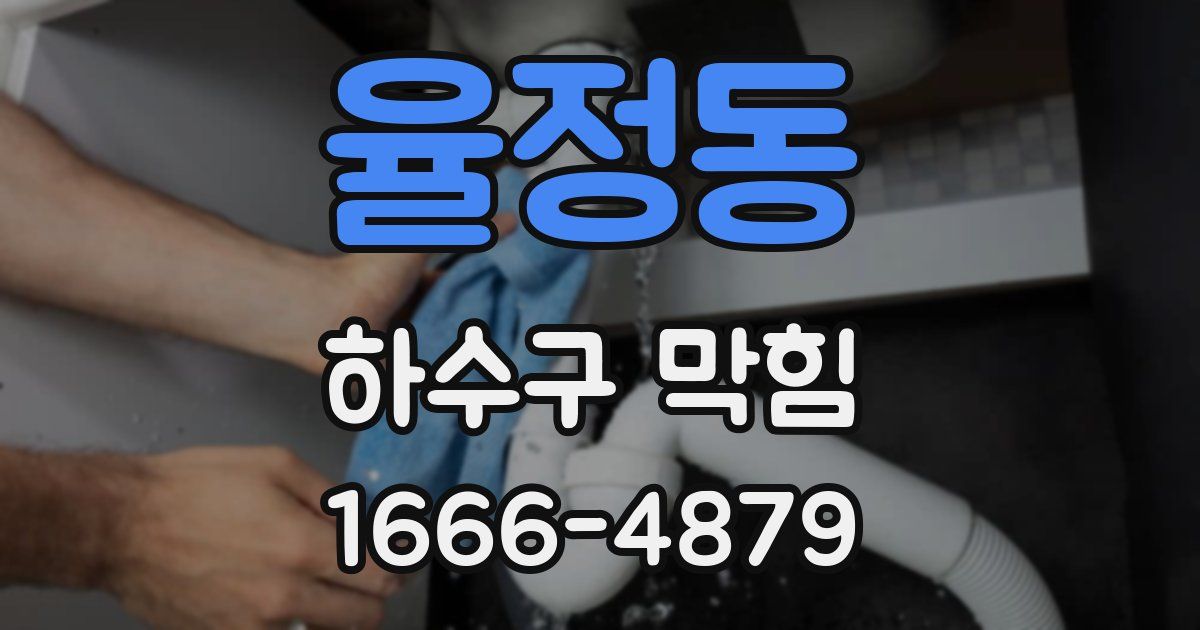 율정동 하수구 막힘