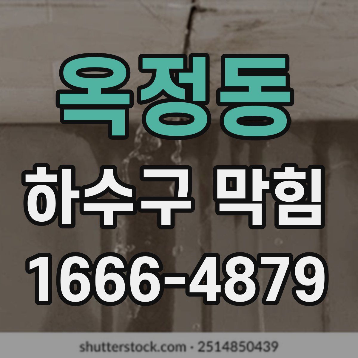 옥정동 하수구 막힘