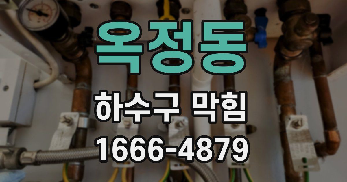옥정동 하수구 막힘