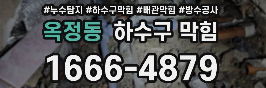 옥정동 하수구 막힘