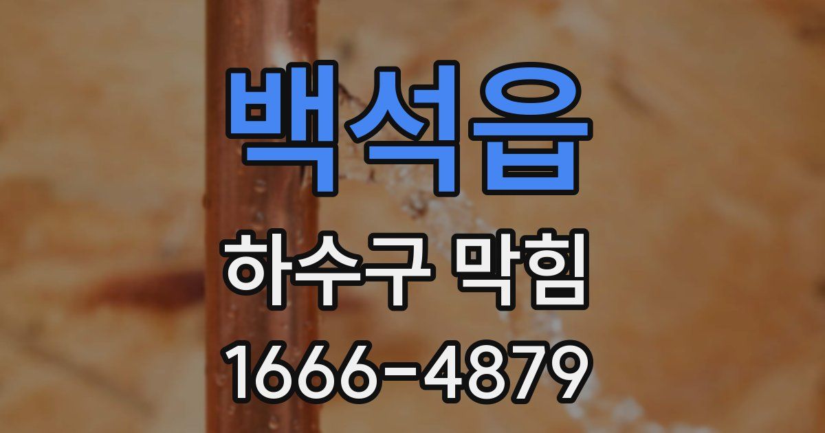 백석읍 하수구 막힘
