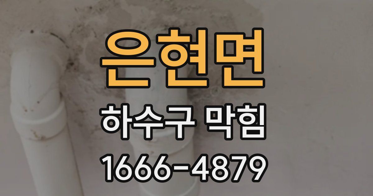은현면 하수구 막힘
