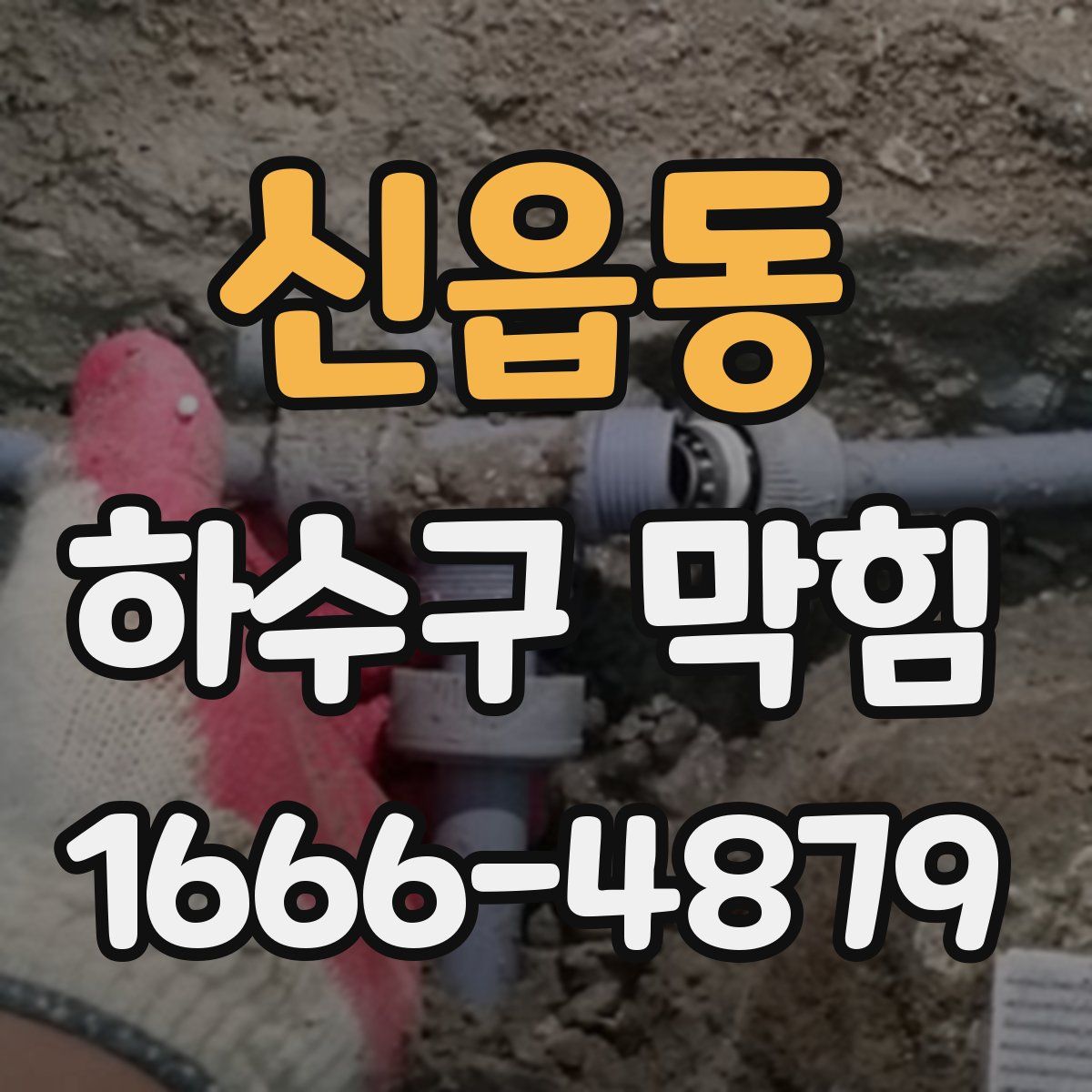 신읍동 하수구 막힘