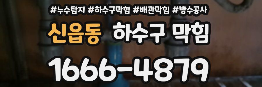 신읍동 하수구 막힘