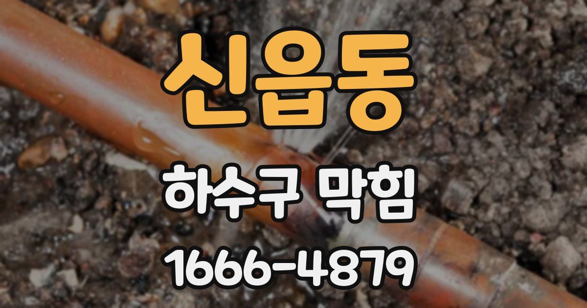 신읍동 하수구 막힘
