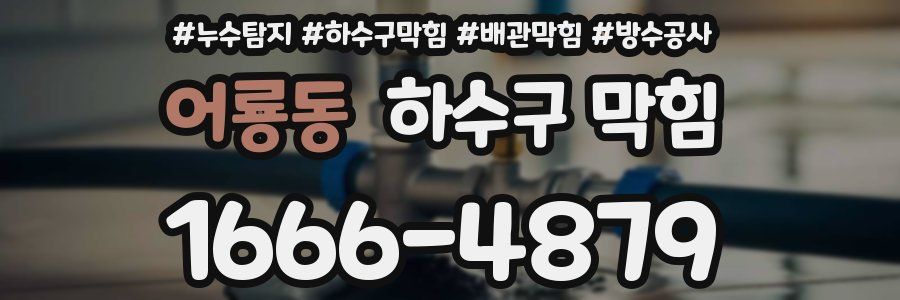어룡동 하수구 막힘