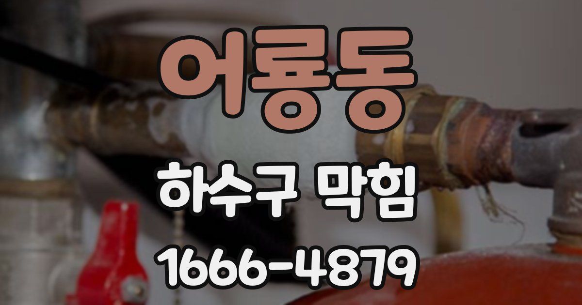 어룡동 하수구 막힘