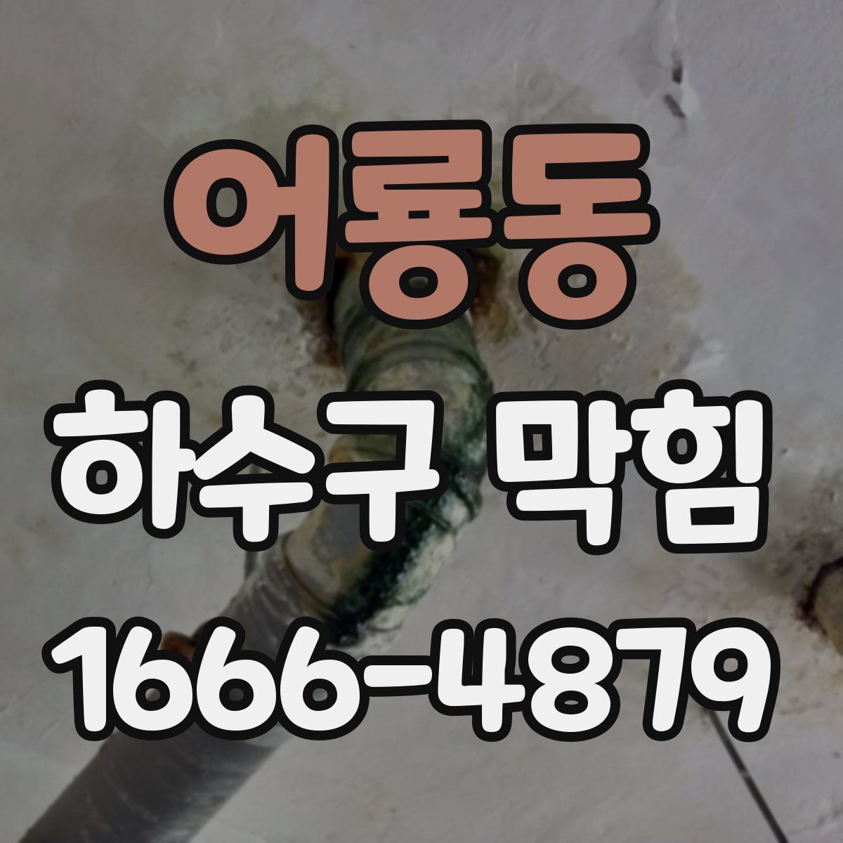 어룡동 하수구 막힘