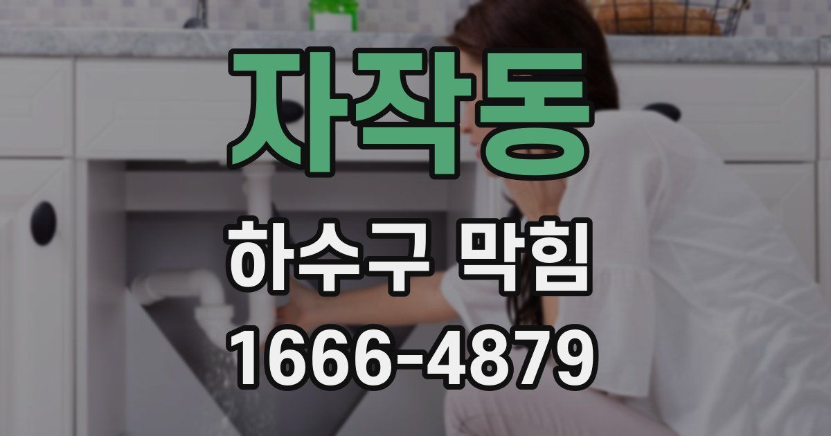 자작동 하수구 막힘