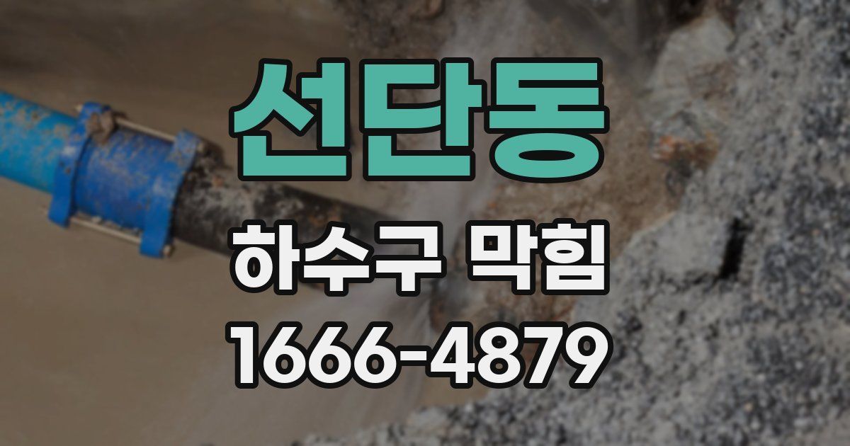 선단동 하수구 막힘