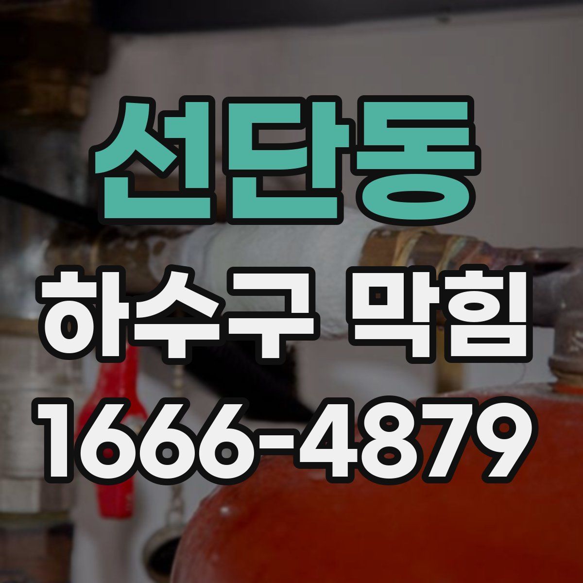 선단동 하수구 막힘