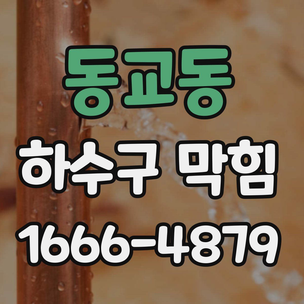 동교동 하수구 막힘