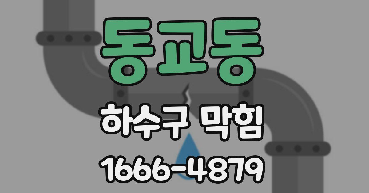 동교동 하수구 막힘