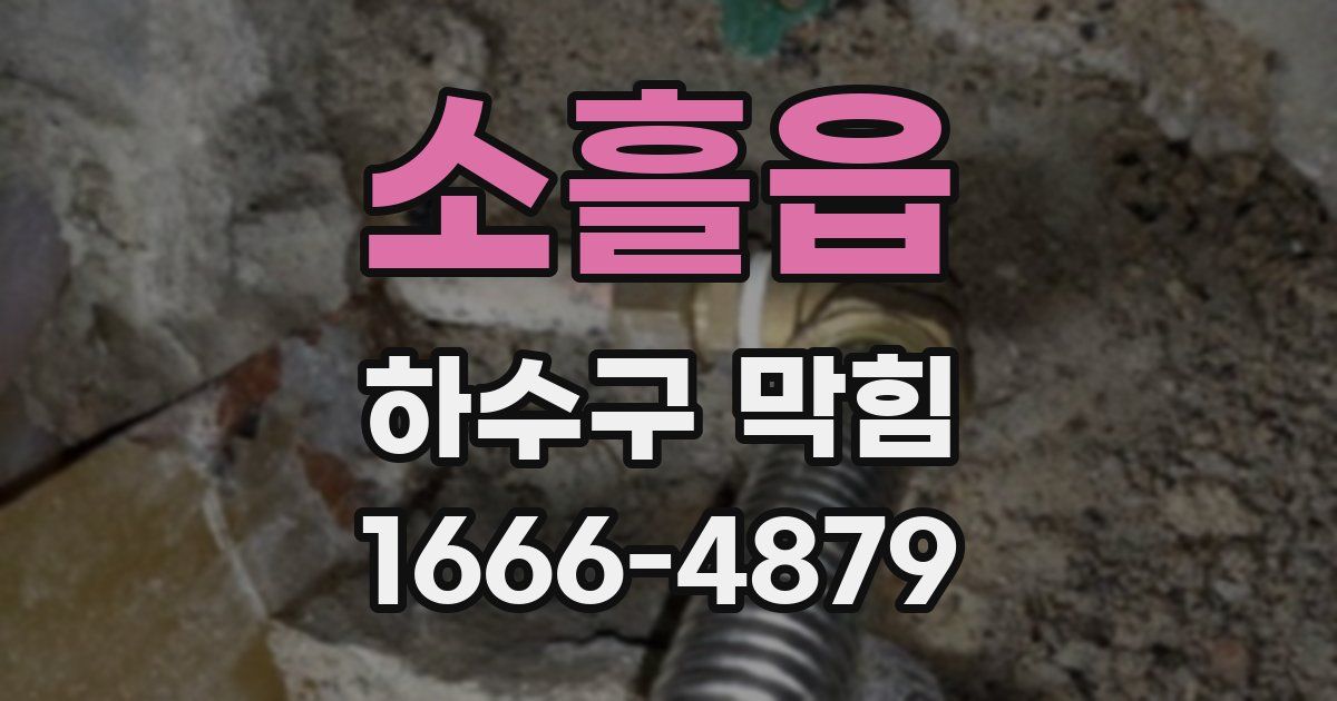 소흘읍 하수구 막힘