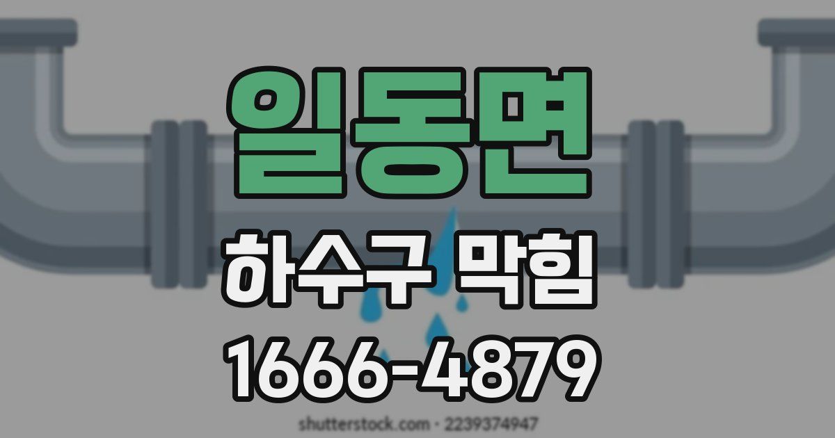 일동면 하수구 막힘