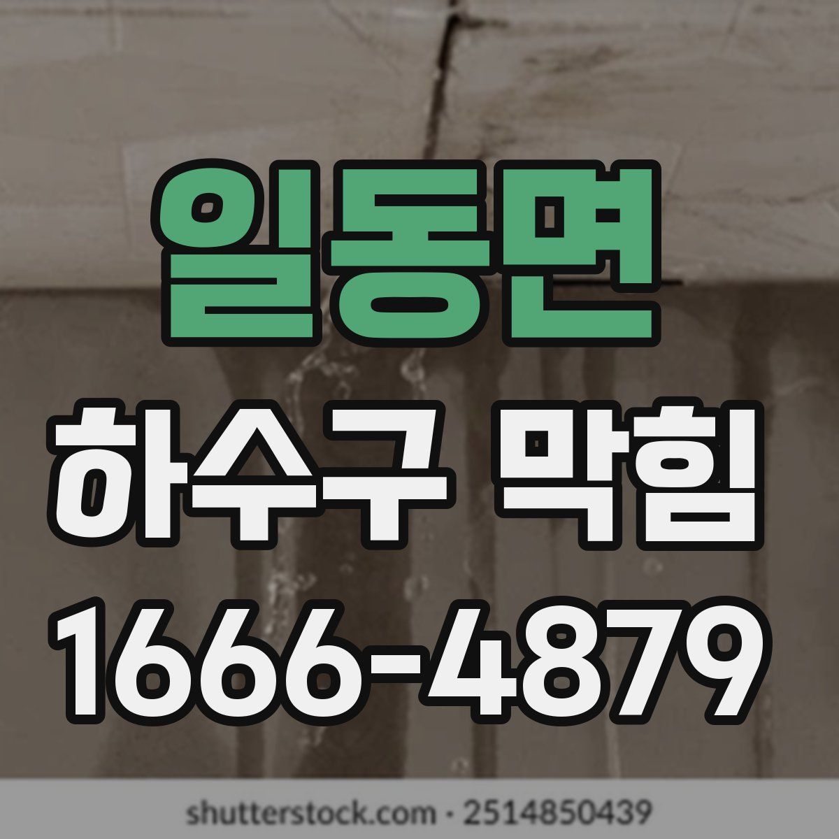 일동면 하수구 막힘