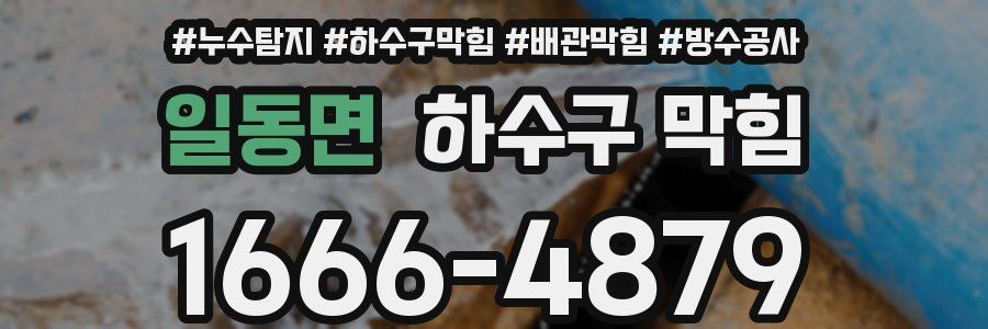 일동면 하수구 막힘