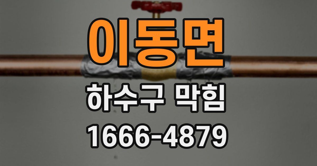 이동면 하수구 막힘