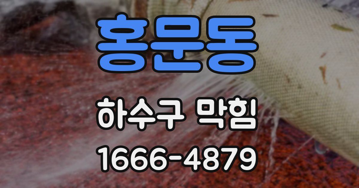 홍문동 하수구 막힘