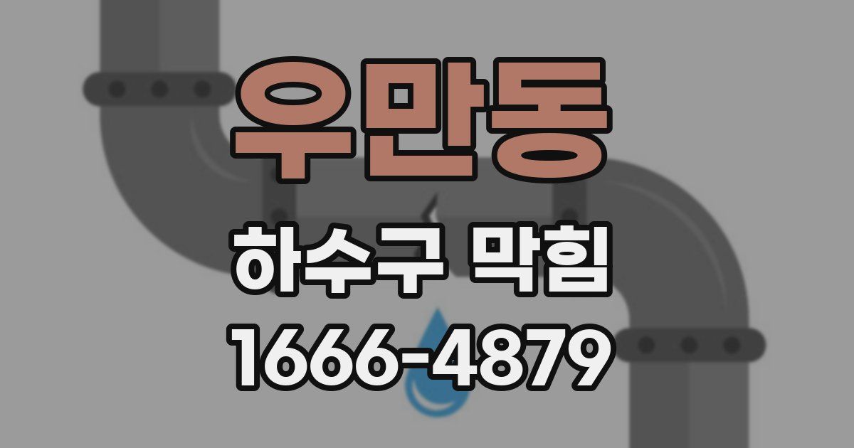 우만동 하수구 막힘