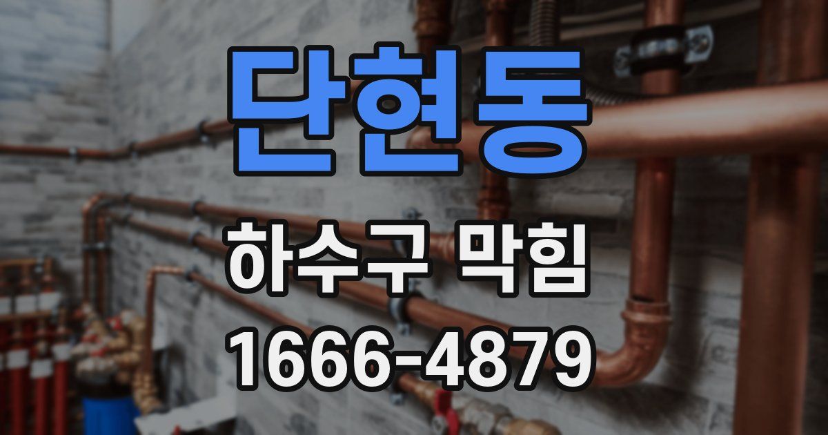 단현동 하수구 막힘