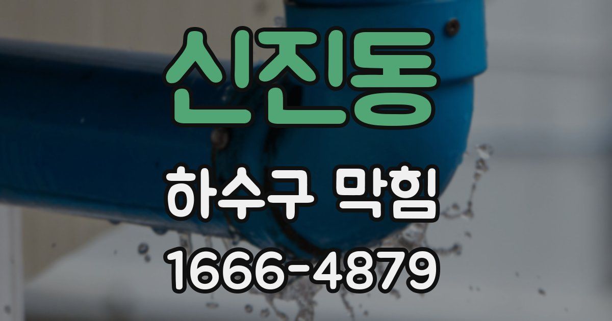 신진동 하수구 막힘