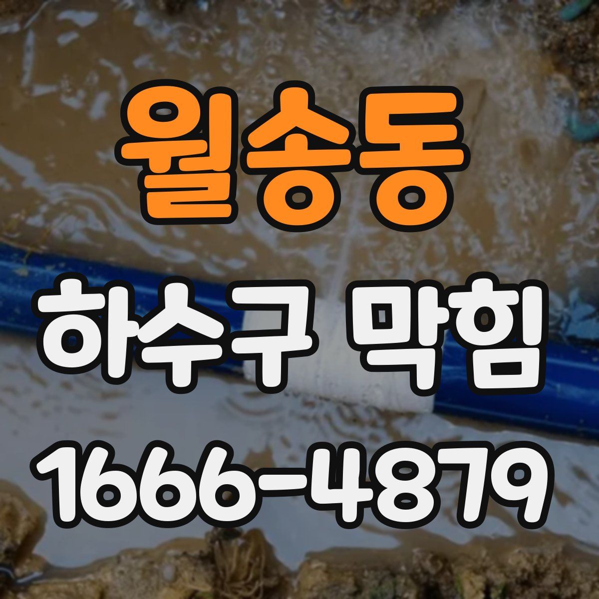 월송동 하수구 막힘